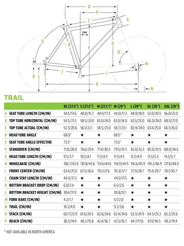 Cannondale Trail 7 Mountain Bike 2019