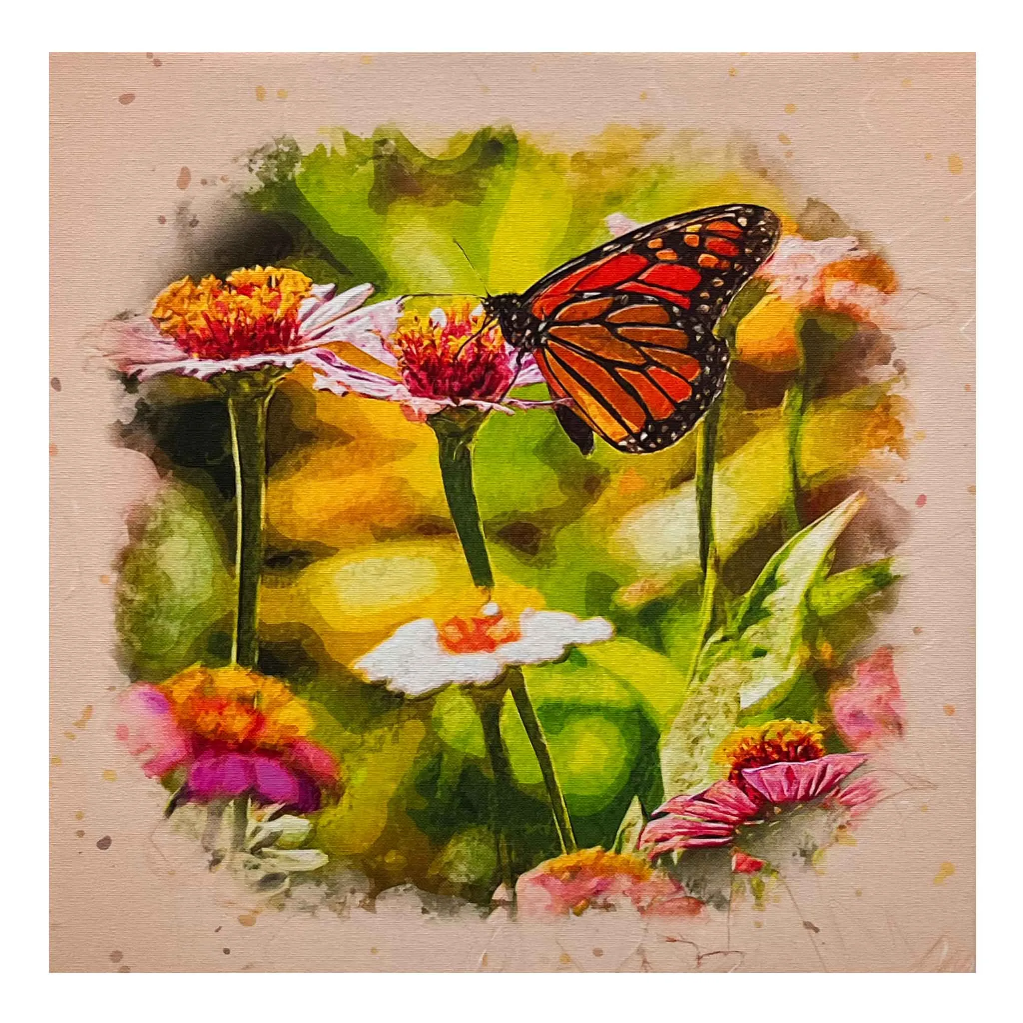 ECC "Monarch on Colorful Cosmos" Framed Canvas Print