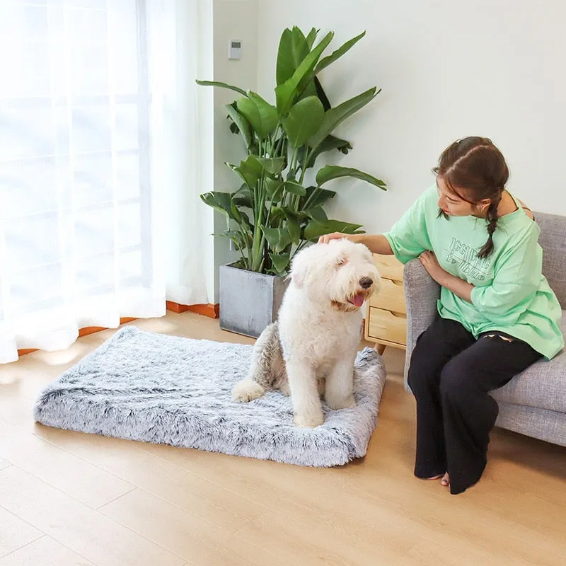 Puppy Rug Memory Foam Bed