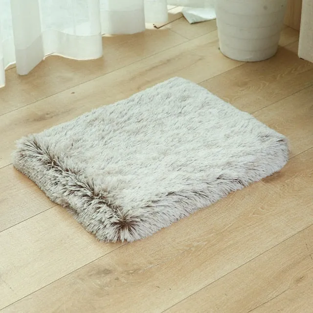 Puppy Rug Memory Foam Bed